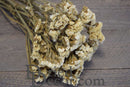 Bulk dried white Statice Sinuata flower bunches with natural stems on wooden surface.