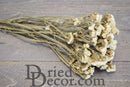 Bulk dried natural white Statice Sinuata flower bunches with long stems on wooden surface.