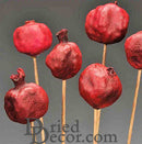 Bulk dried natural pomegranates on stems, vibrant red, wholesale bunches display.