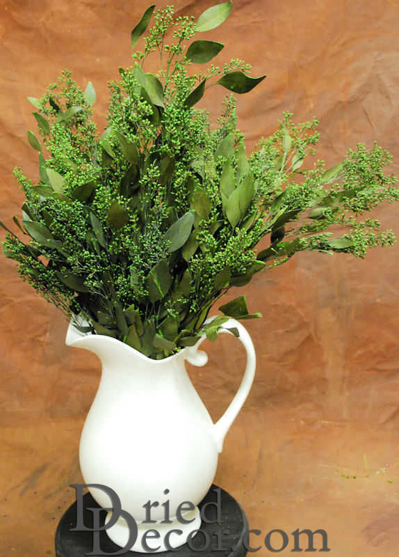 Preserved Seeded Eucalyptus Branches - Greens