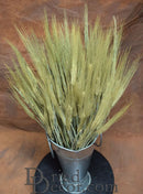 Natural dried six row barley bunch with long stems in metal container for wholesale bulk use.