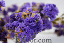 Bulk dried natural statice sinuata flower bunches with lavender purple blooms.