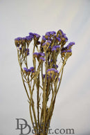 A bunch of dried Statice Sinuata flowers with lavender blue petals and dry brown stems against a white background.