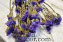 Bulk dried natural statice sinuata flower bunches with vibrant lavender blooms and slender stems.