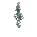 29-inch dried eucalyptus spray with natural green-gray leaves, wholesale bulk bundle of 12 stems.