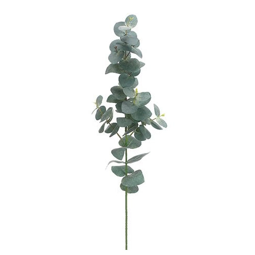 29" Eucalyptus Spray  Green Gray (12 stems)