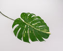 A artificial philodendron leaf with two-tone green coloration on a white background.