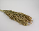 Bundle of dried natural Sudan grass in bulk, showcasing greenish-brown tones and textured seed heads.