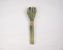 Bundle of dried natural green and blue Echinops oats bouquet tied with rustic paper wrap, wholesale bulk pack.
