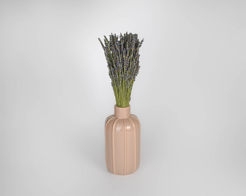 Dried Lavender Bunch - Grosso (French) | 30 Bunches | Blue