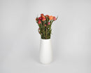 Bundle of natural dried apricot strawflowers arranged upright in a white vase, wholesale bulk display.