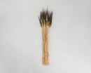 Bundle of long dried natural wheat stalks with dark brown tips, ideal for wholesale bulk decor.