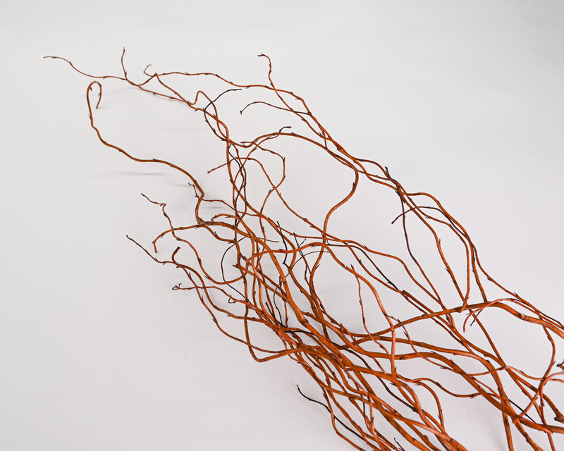 Curly Willow Branches (Long Stem) | Brown
