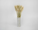 Bulk bundle of long dried natural green bearded wheat stalks in striped vase.