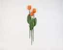 25" dried parrot tulip spray with orange and yellow petals and green leaves, natural bulk stems.