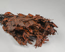 Bulk bundle of dried natural chocolate brown oak leaves for wholesale use.
