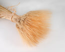 Bulk natural dried wheat bundle with blond stalks tied with twine.