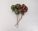 Three stems of dried natural hydrangea flowers in burgundy and green hues with thin brown stems.