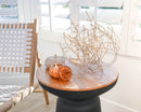 Dried natural baby tumbleweed in bulk on wooden table with neutral decor background.