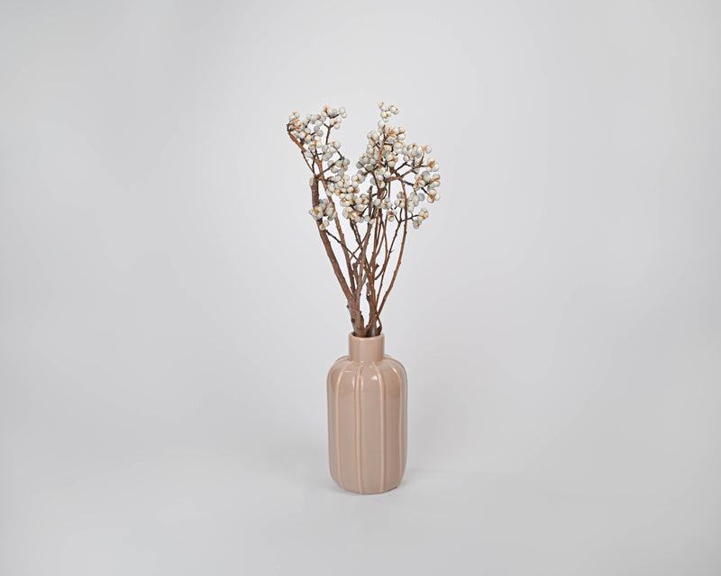 Dried TallowBerries - Long Stem - Tallow Berries