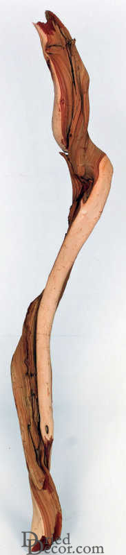Ghostwood Logs and Sticks - Sandblasted