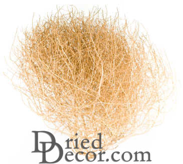 Gigantic Country Tumbleweed