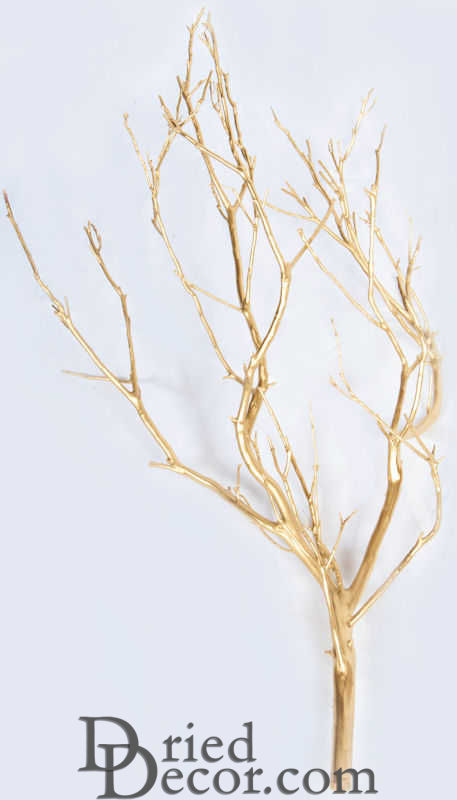 Dried Manzanita Branches - Painted Bulk Manzanita