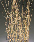 Bulk natural dried birch branches with gold paint accents in a wholesale case of 20 bunches.
