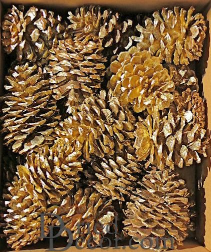 Gold Craft Ponderosa Pinecones