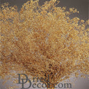 A bunch of dried gold baby's breath flowers, with a focus on their small, delicate petals and sparkling appearance.