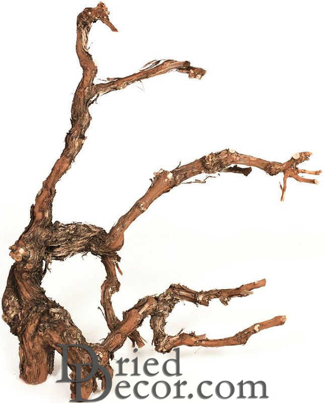 Grapewood Branches - Natural - Grape Wood