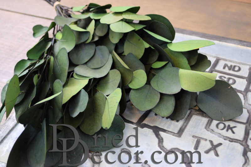 Preserved Populus Eucalyptus Bunch - Green