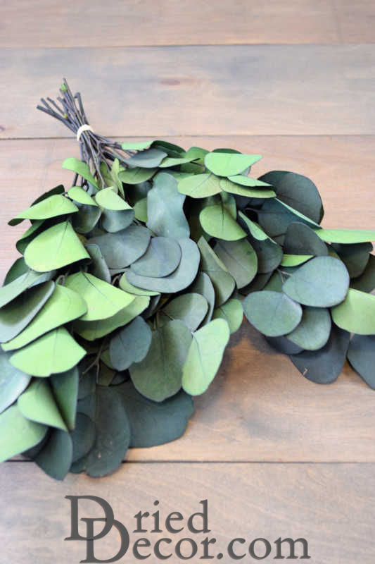 Preserved Populus Eucalyptus Bunch - Green