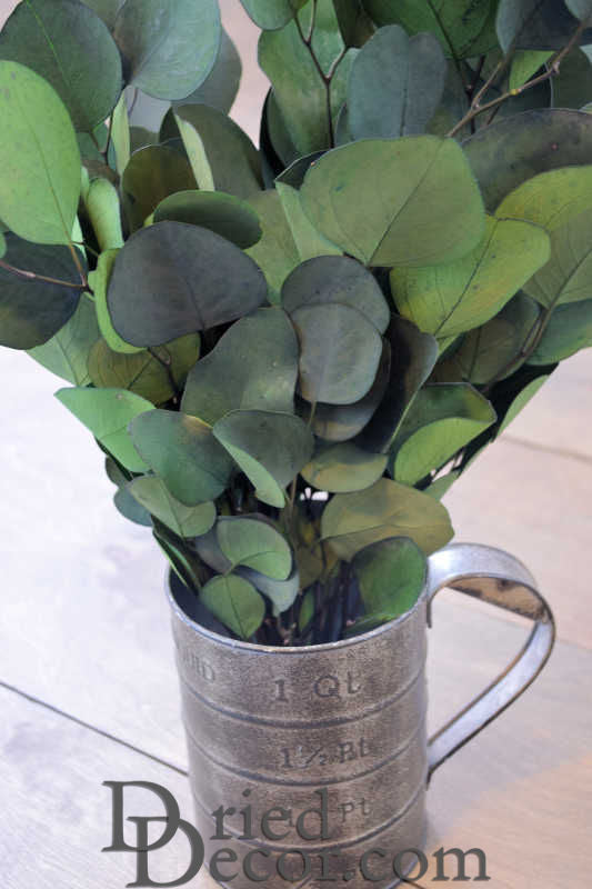 Preserved Populus Eucalyptus Bunch - Green