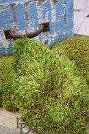 Bulk box of natural dried moss in vibrant green shades for wholesale seasonal decor.