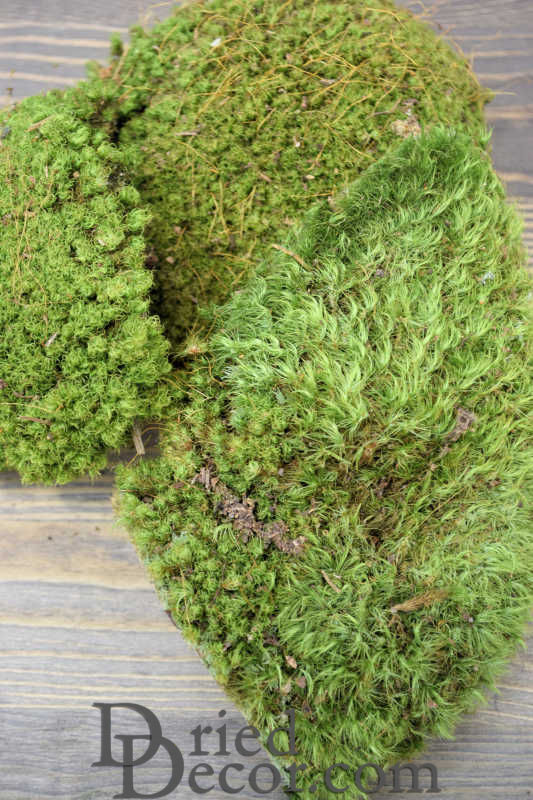 Dried Natural Mood Moss Wreath - 20 inch