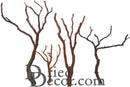 Set of three natural brown dried Manzanita bird perches with multiple branches, wholesale bulk display.
