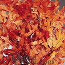Bulk dried natural oak leaves in rust orange color for wholesale use.