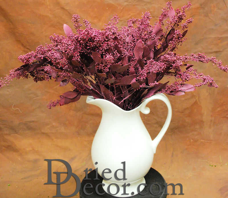 Preserved Seeded Eucalyptus Branches - Colors