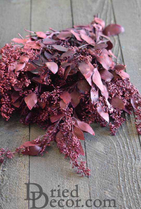 Preserved Seeded Eucalyptus Branches - Colors