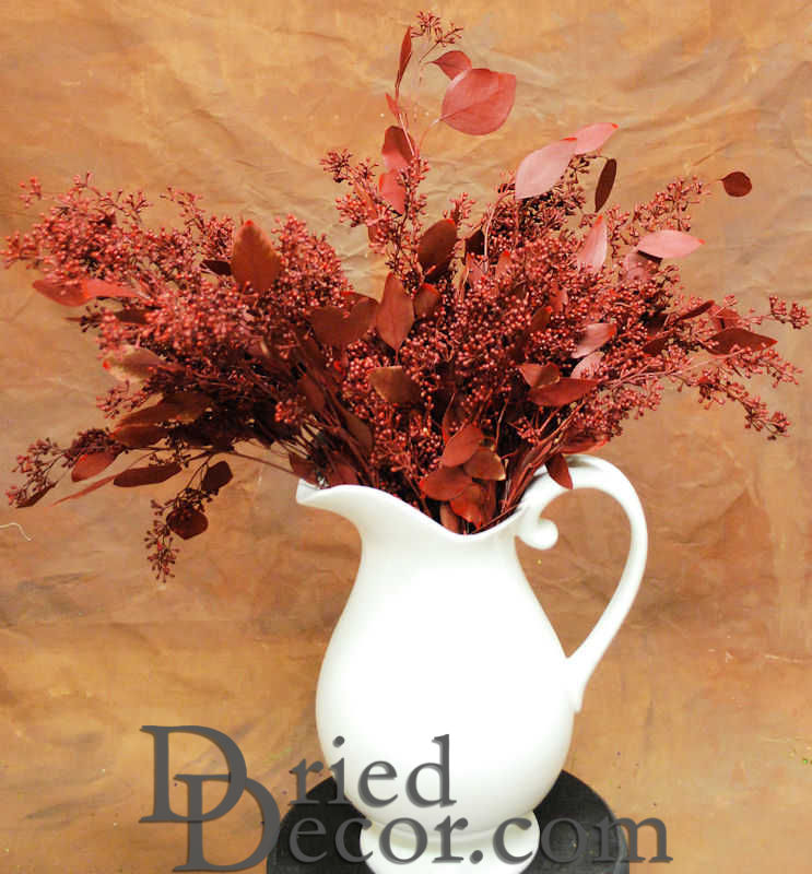 Preserved Seeded Eucalyptus Branches - Colors