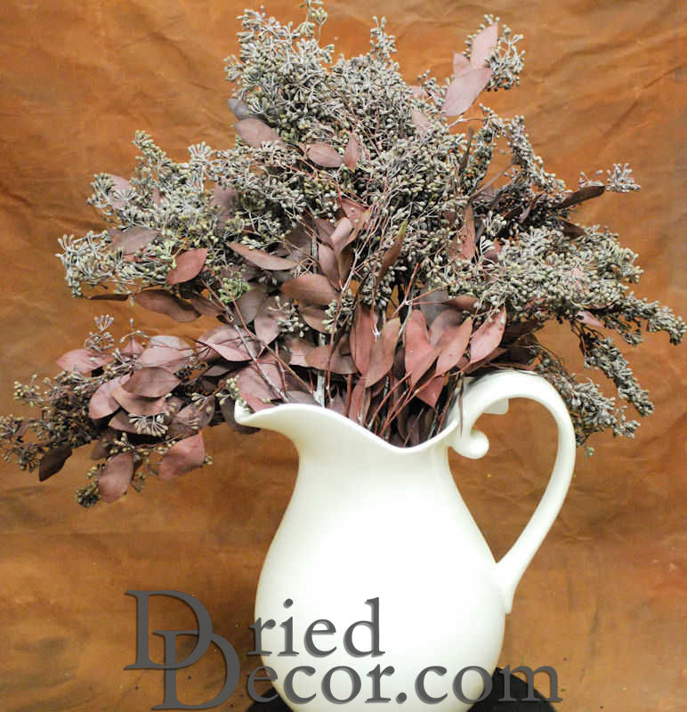 Preserved Seeded Eucalyptus Branches - Colors