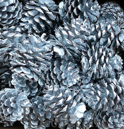 Silver Painted Ponderosa Pine Cones