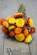 Bulk dried strawflowers bouquet in sunset shades of yellow and orange with natural stems.