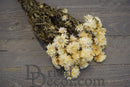 Bulk dried strawflowers bouquet with natural white petals and brown stems on wood background.